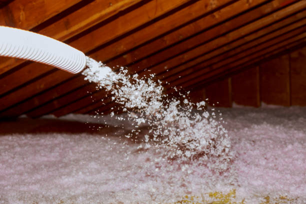 Best Geographic-Specific Insulation Services in Burbank, CA