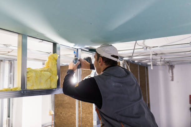 Best Insulation Maintenance and Repair in Burbank, CA