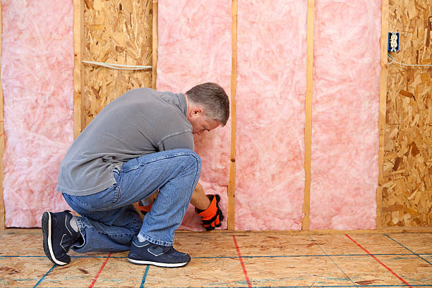 Best Eco-Friendly Insulation in Burbank, CA