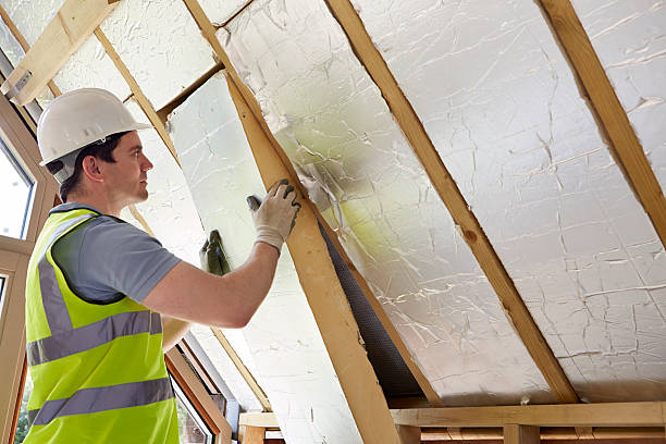 Types of Insulation We Offer in Burbank, CA