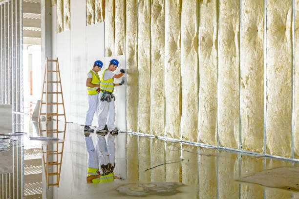 Best Residential Insulation in Burbank, CA